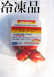 生 トリニダード・スコーピオン・ブッチ・テイラー(赤) 冷凍品 20g