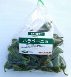 生 ハラペーニョ(グリーン) 500g　生鮮品