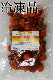 生 トリニダード・スコーピオン・ブッチ・テイラー(赤) 250g冷凍品